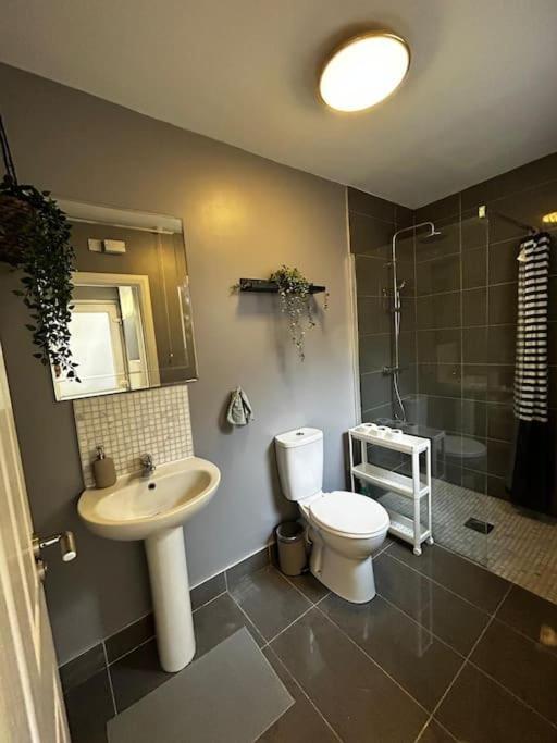 Vibrant City Centre Townhouse With Free Parking Rare Outdoor Patio Belfast Exteriör bild