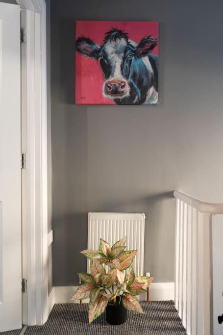 Vibrant City Centre Townhouse With Free Parking Rare Outdoor Patio Belfast Exteriör bild